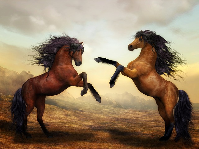 Horses Wild Horses Digital Art Nature.jpg