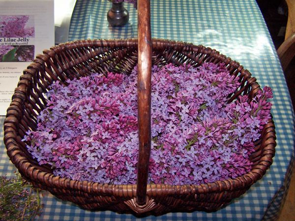 Basket of lilacs crop May 2018.jpg