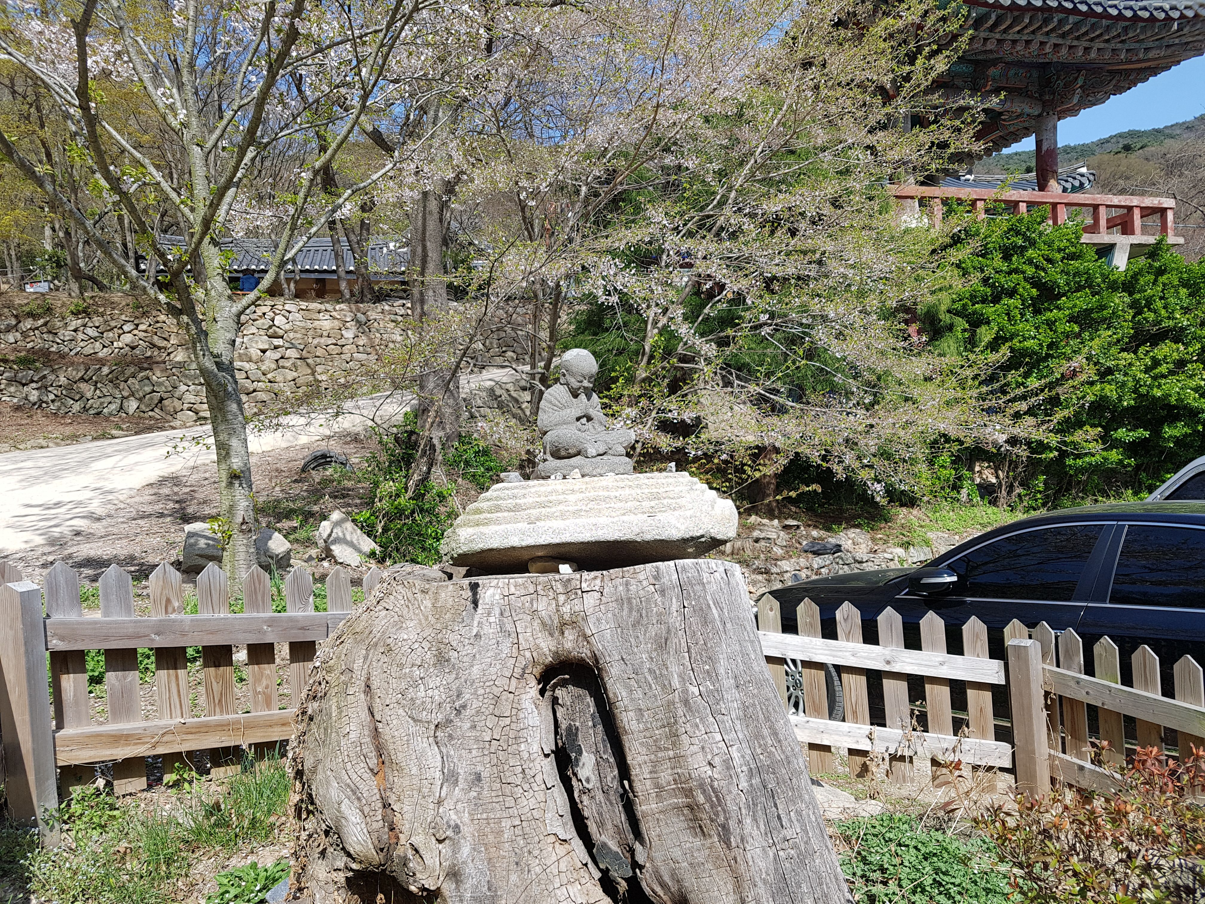 20180412_151629.jpg