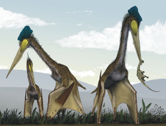 Quetzalcoatlus.jpg