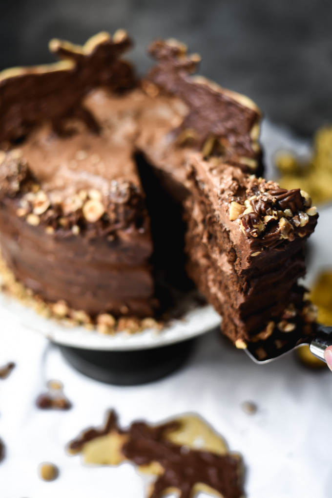 Chocolate Nutella Mousse Moose Cake (9).jpg