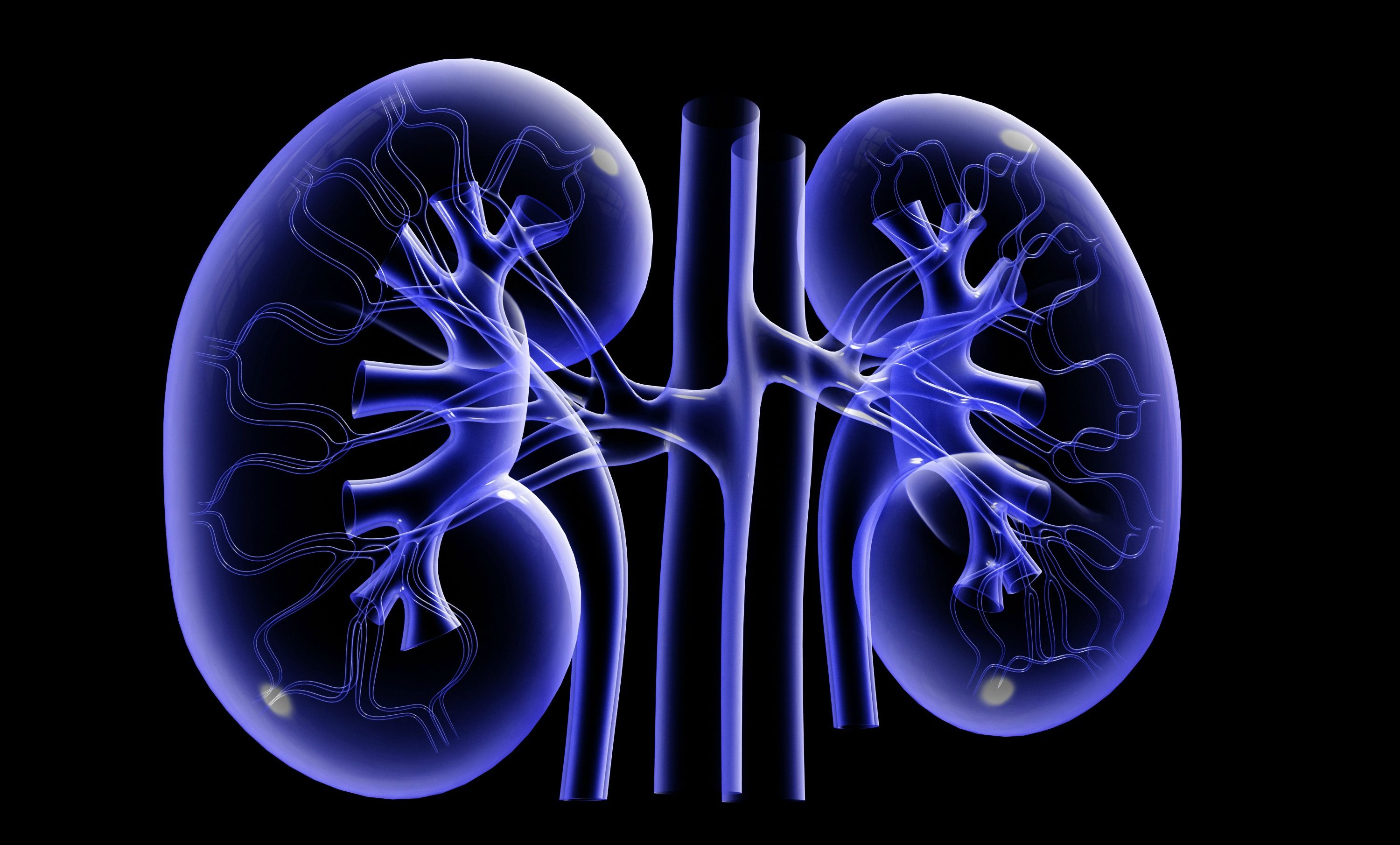 healthykidneys.jpg