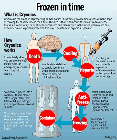 cryopreservation human