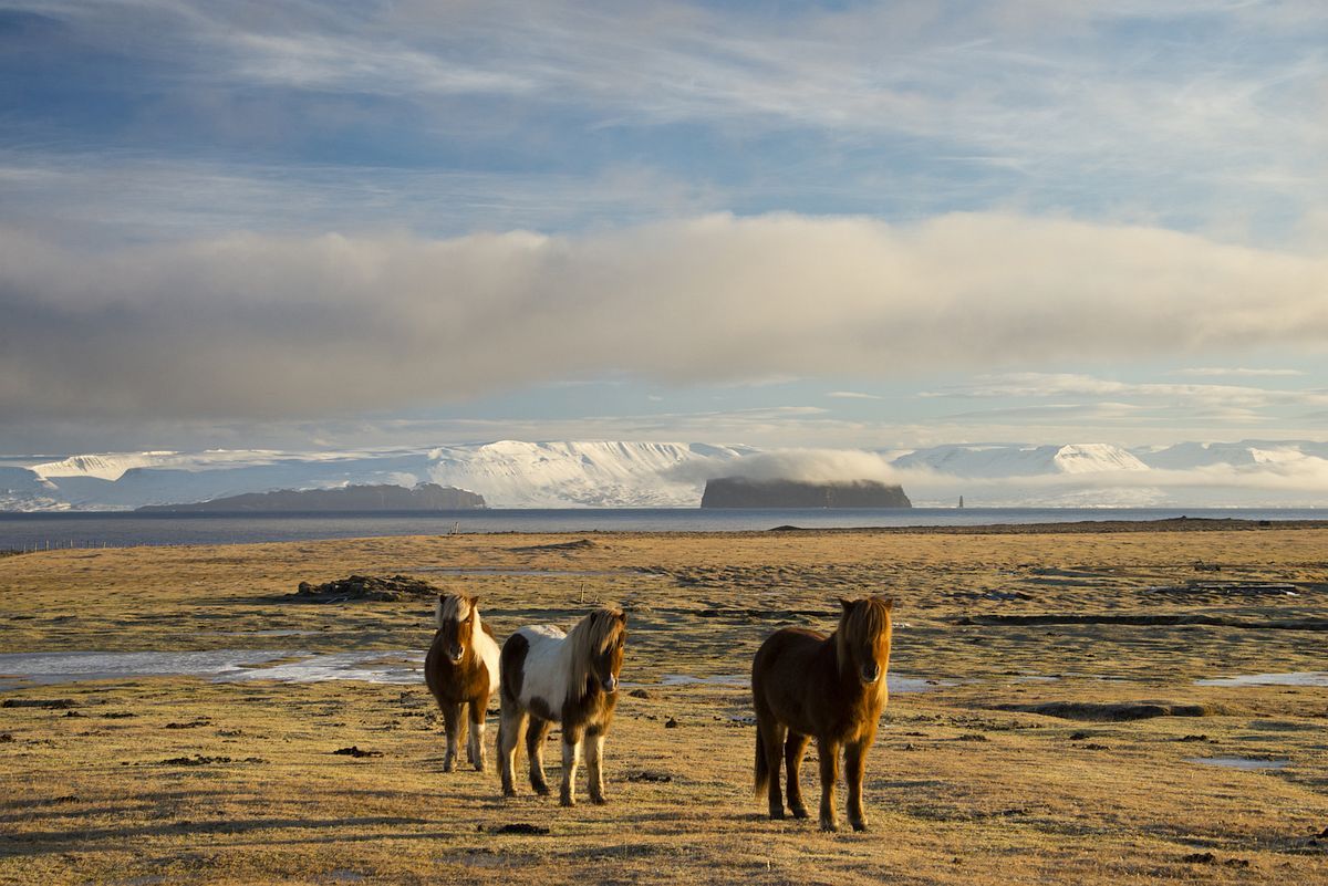 2, 26 photos that will show you the wild beauty of Iceland.jpg