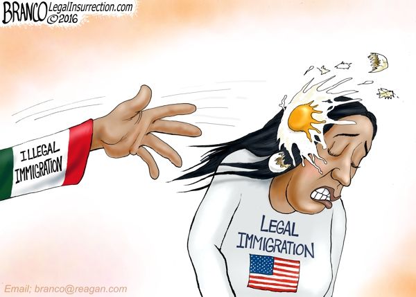 Illegal Immigration.jpg