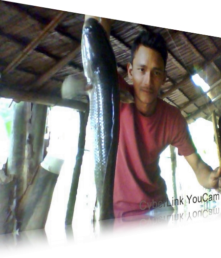 memancing.JPG