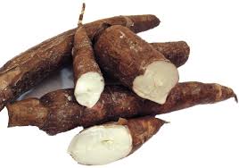 YUCA SI.jpg