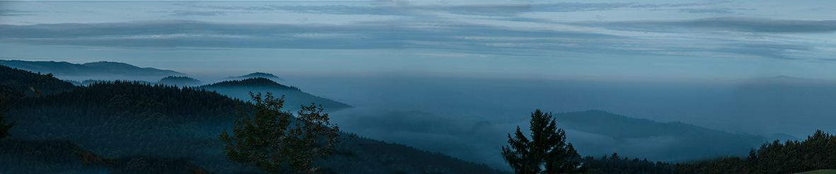 Nebelmeer_Panorama2 2.jpg