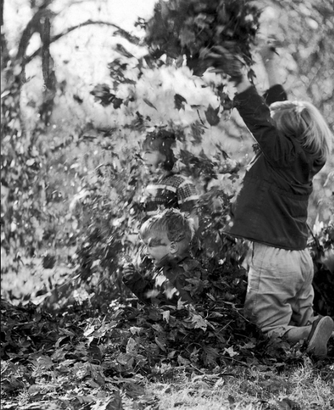 Children in the Leaves.jpg