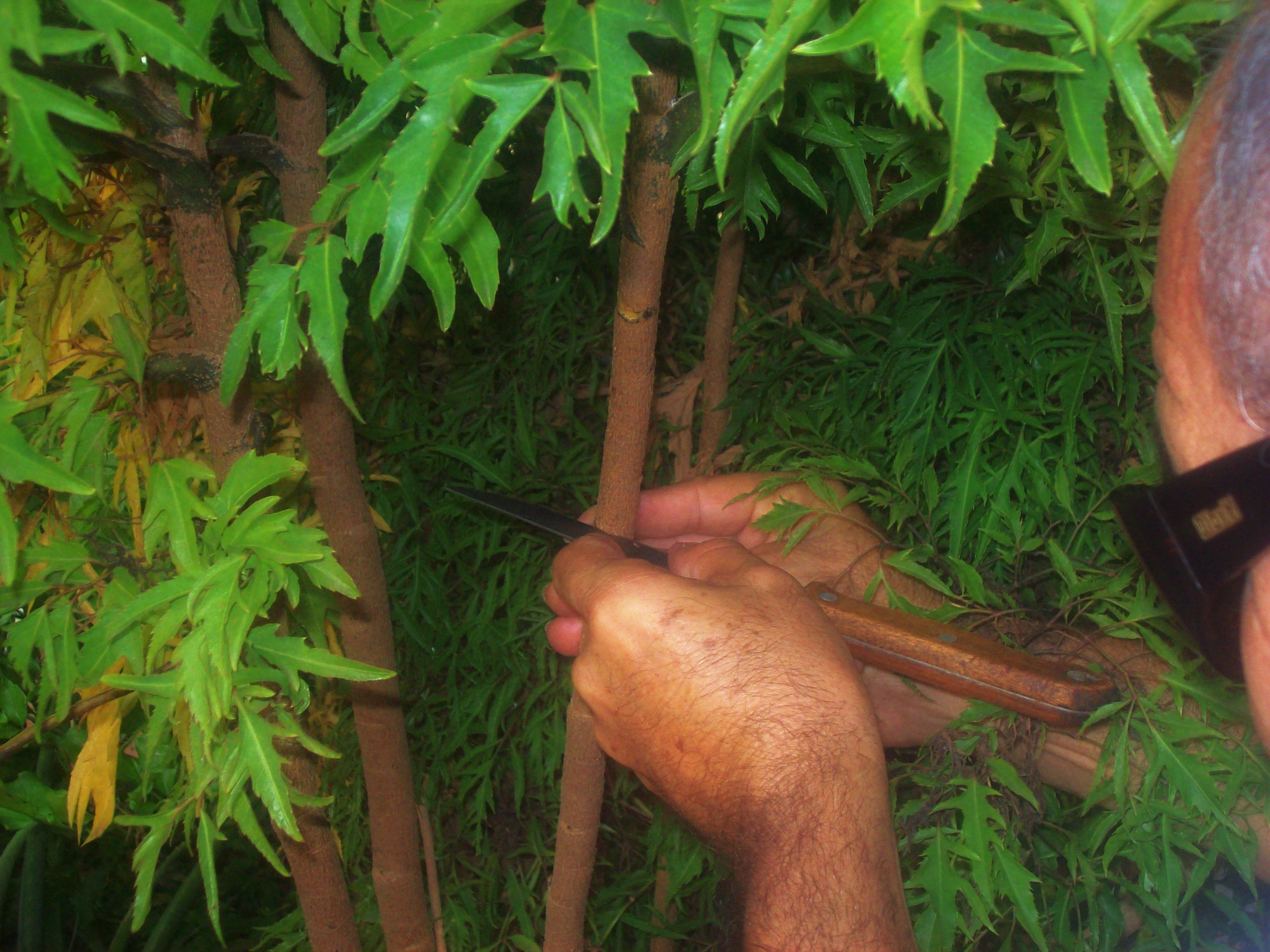100_2043.JPG