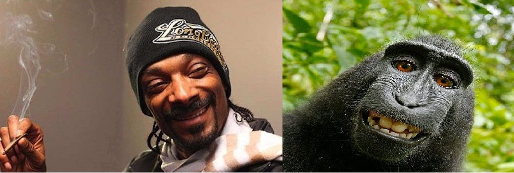 snoop-dogg1-compressed.jpg