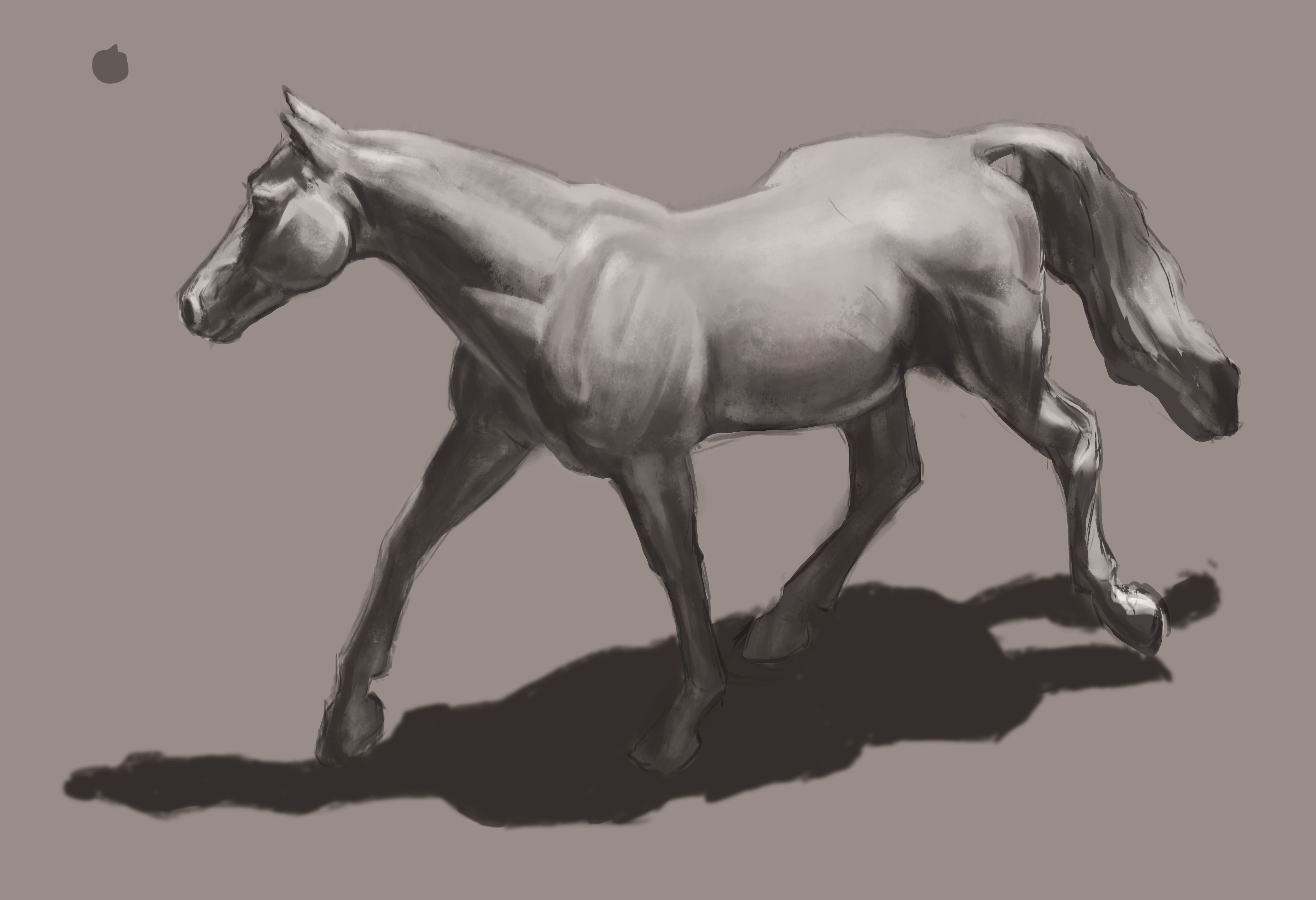 160728 - horse study.jpg