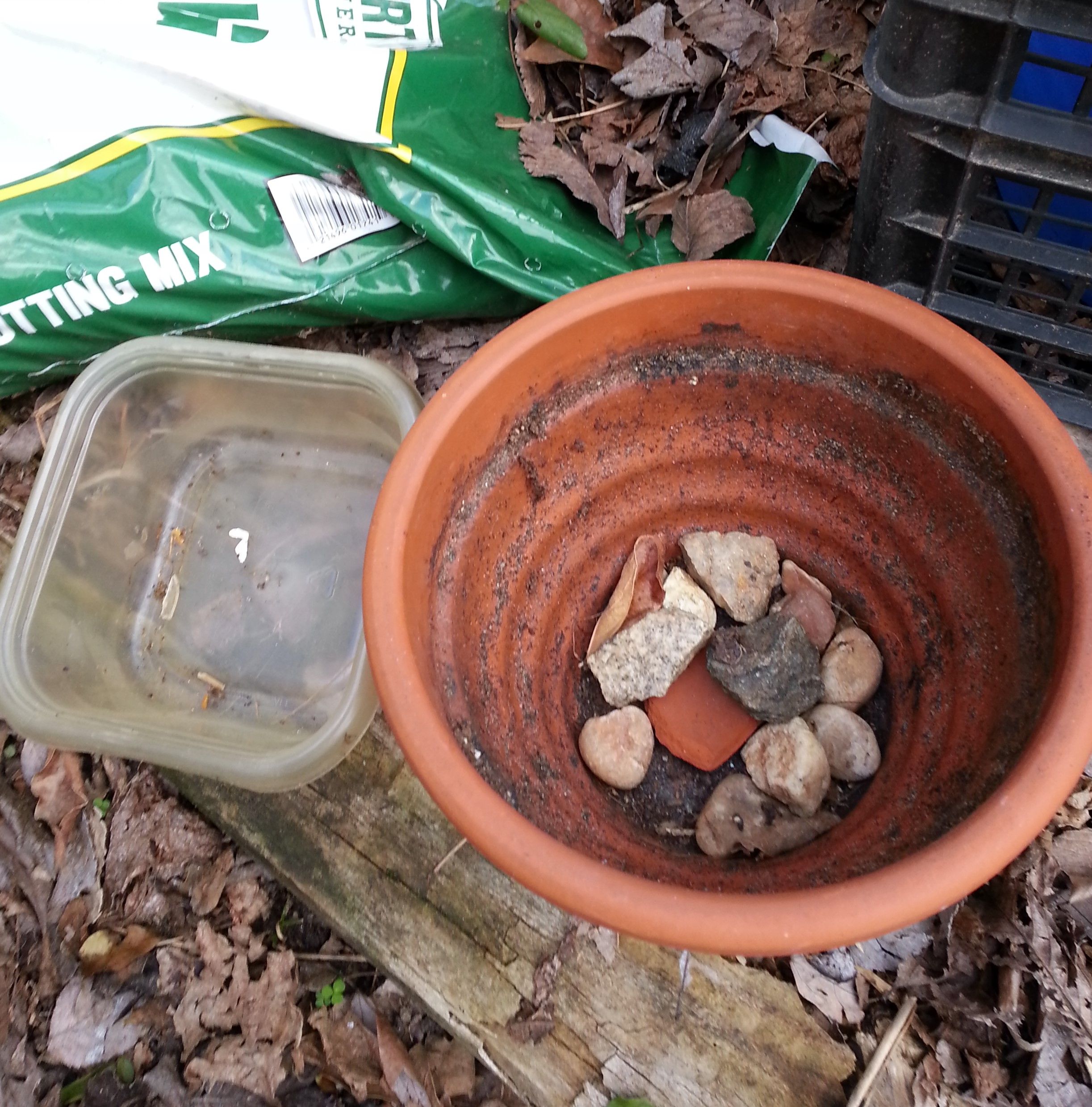 prepared a flower pot.jpg