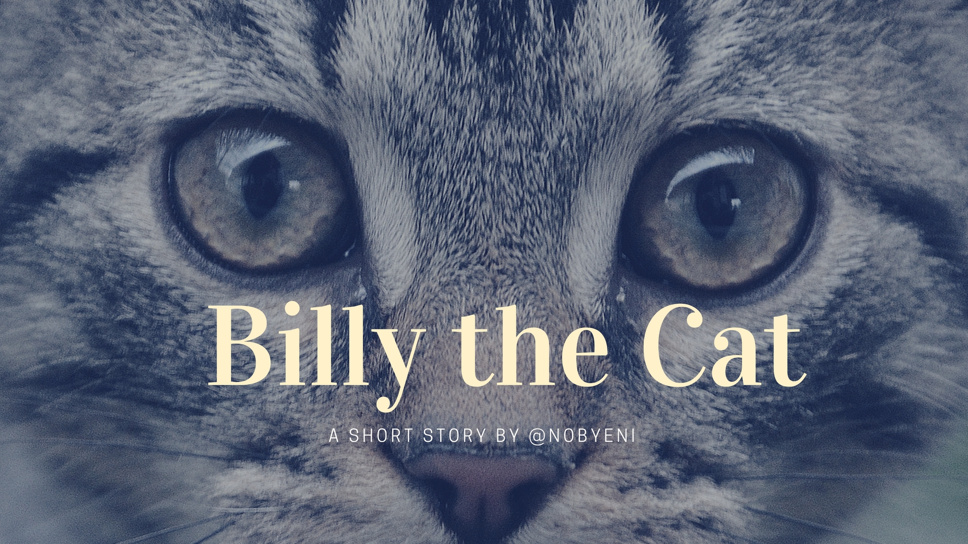 Billy the Cat.jpg