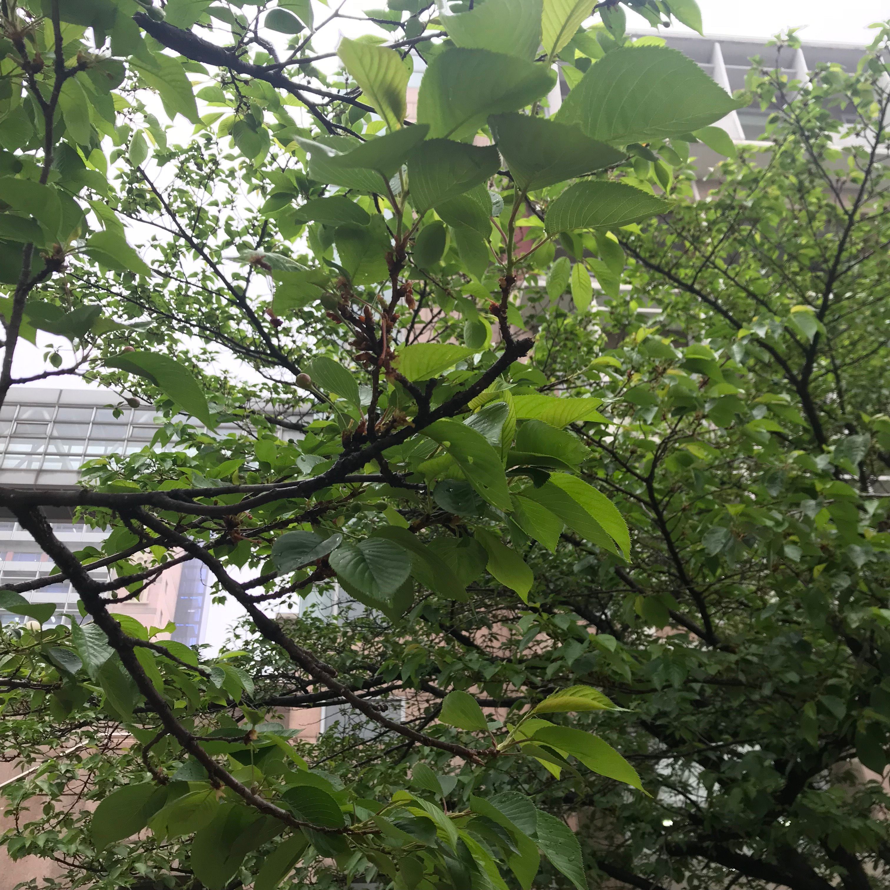 KakaoTalk_20180502_230708832.jpg