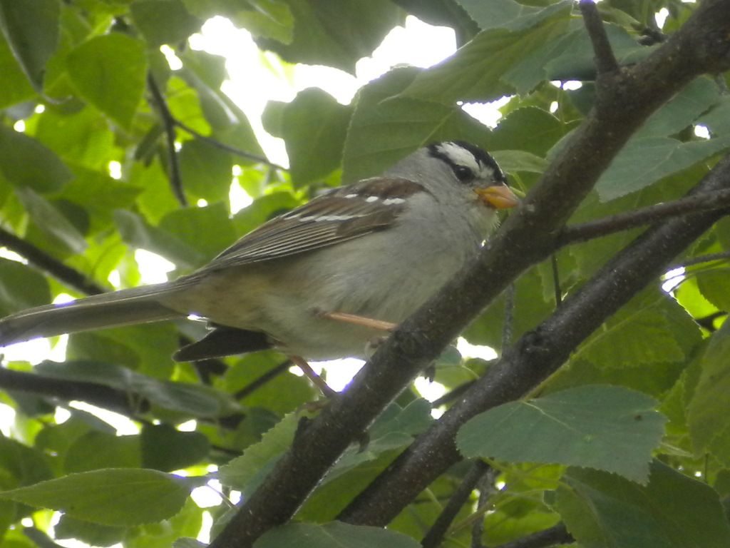 DSCN8634.JPG
