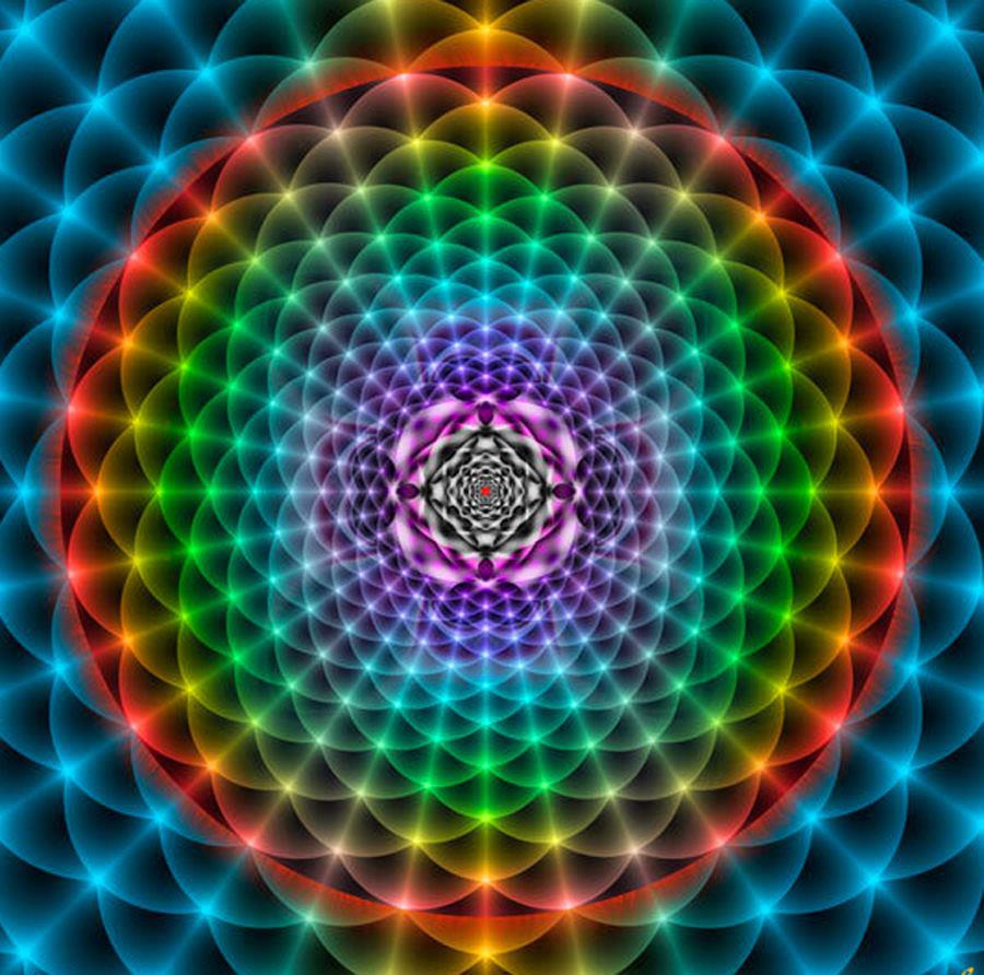 551885_10151081244851188_1483870971_n.jpg