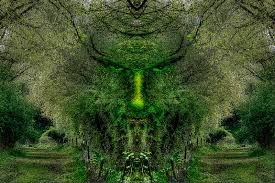 download.jpg