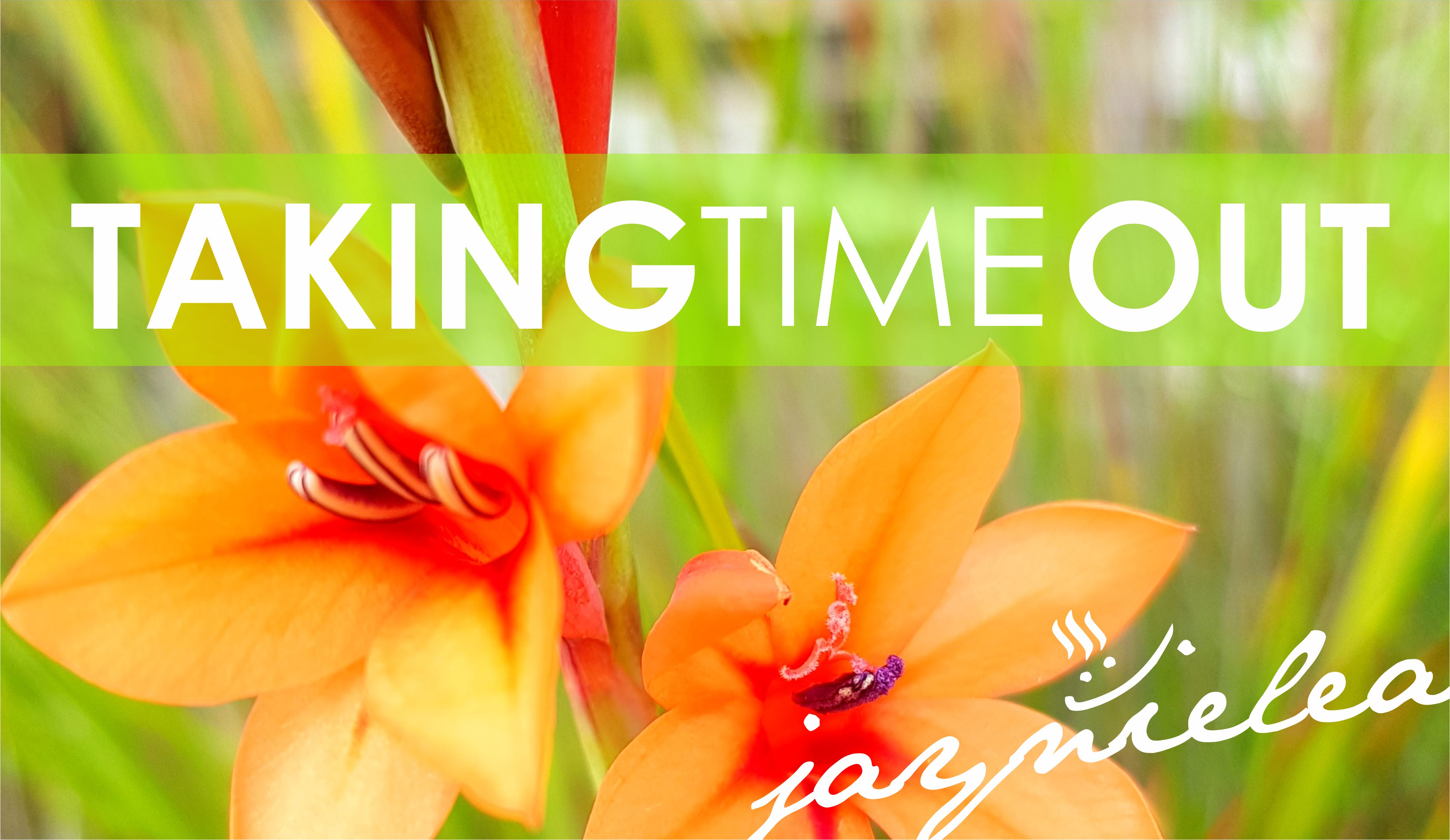 take time out forjesus take time out forjesus