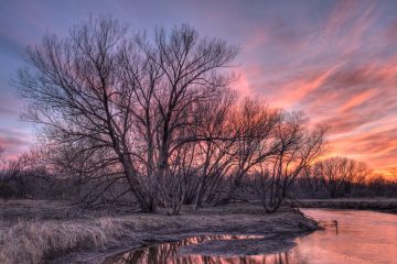 paysage-hdr-360x240.jpg