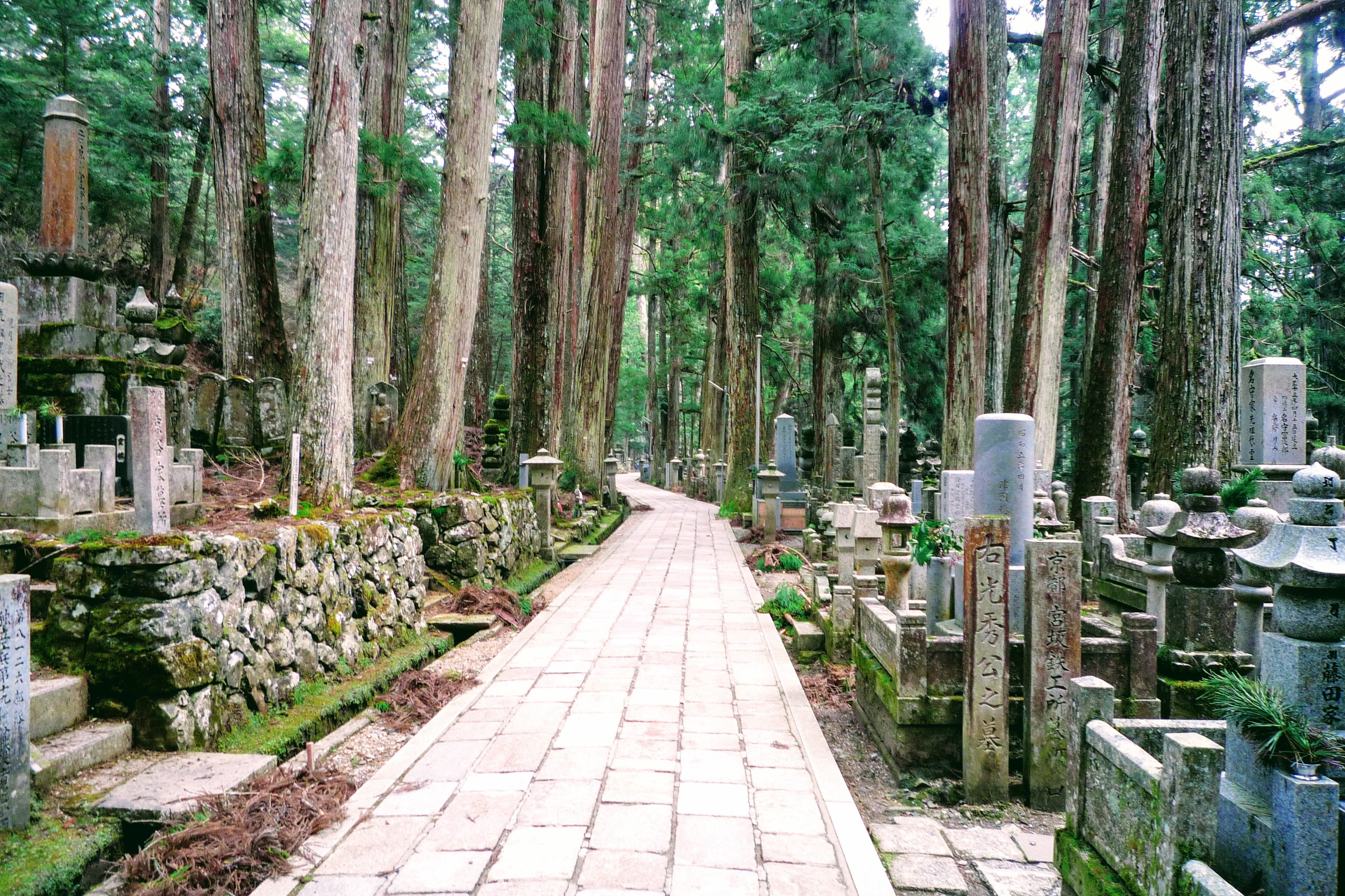56_Mount_Koya_Oku_No_In_Graveyard (1).JPG