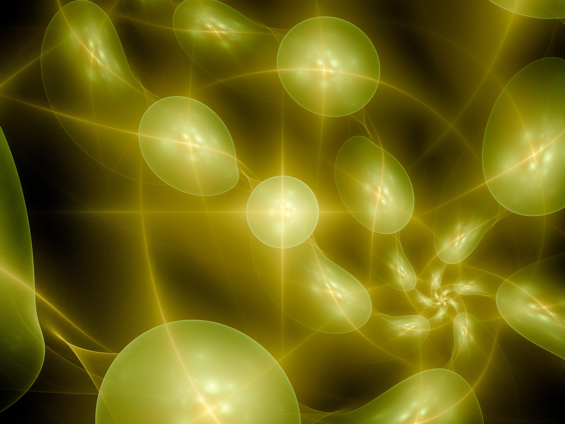 fractal-2373661_1920.jpg