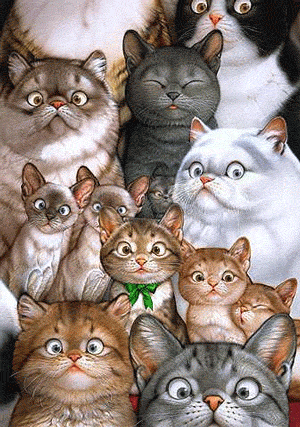 many-cats-animated-graphic.gif