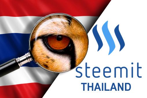 thai steemit Cheetah_2.jpg