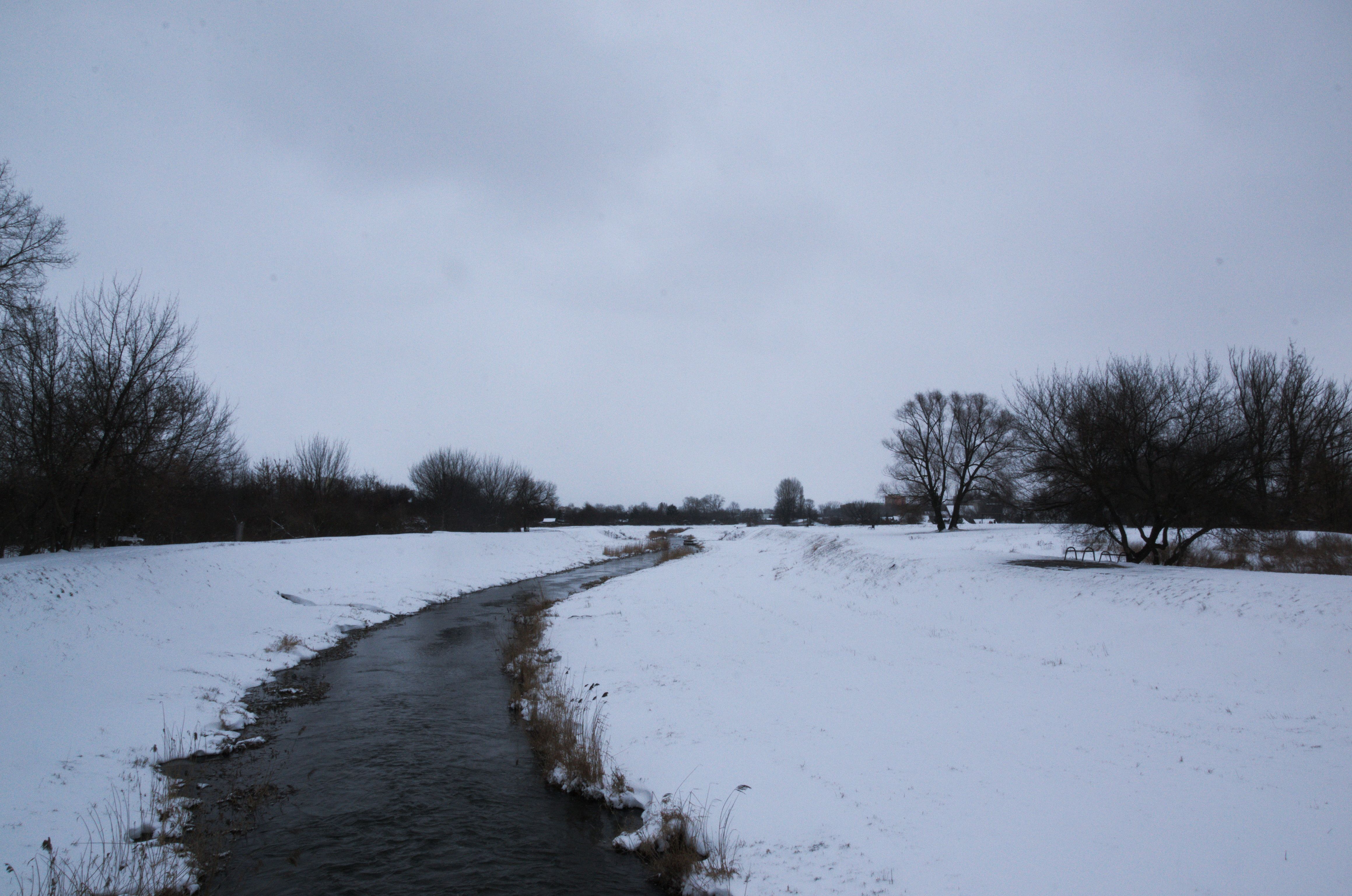 DSC_0491.NEF.jpg