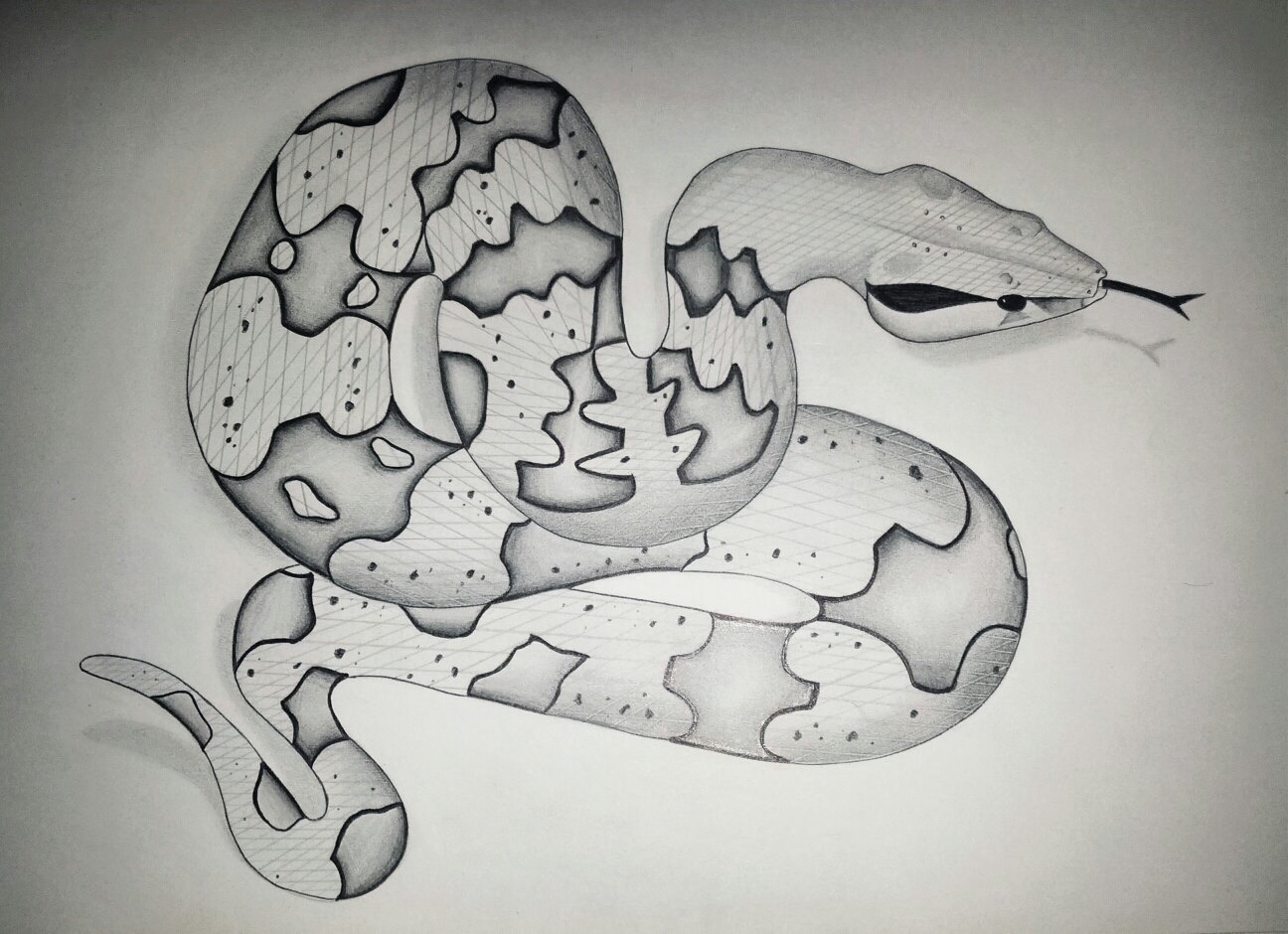 How to draw 3d Snake Step by step, snake 3d - thirstymag.com