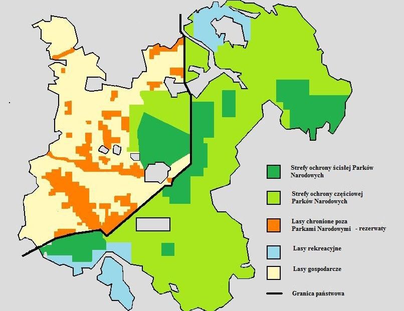 Puszcza_Białowieska_-_ochrona_lasów.jpg