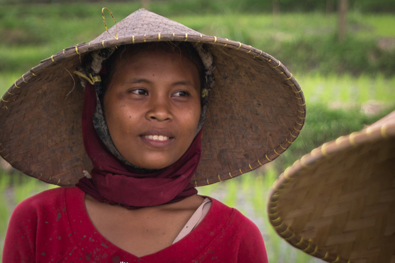 Lombok ricefields 95.jpg