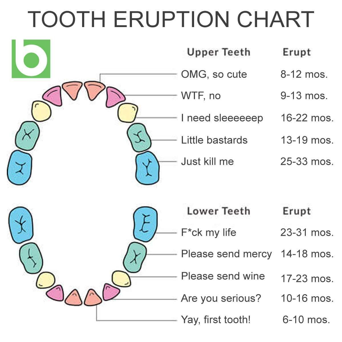 Pediatric Tooth Chart