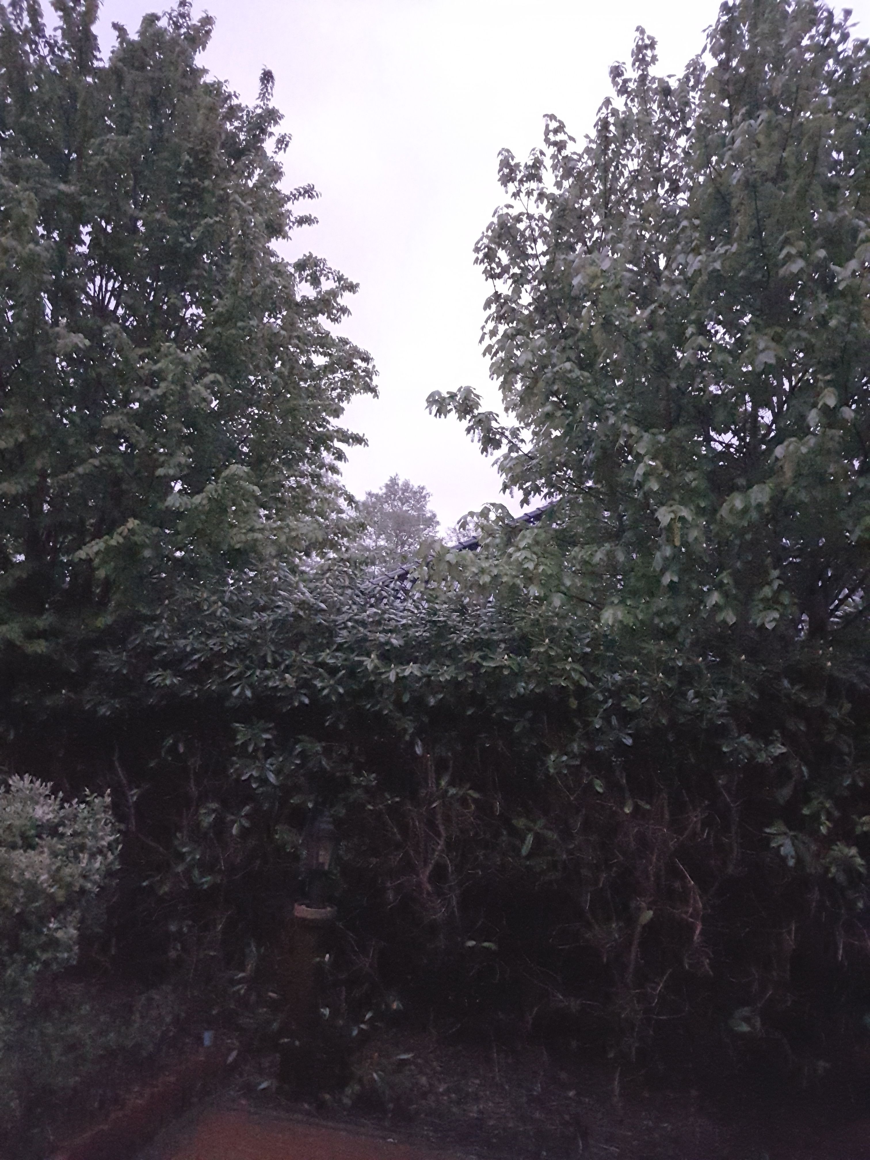 20180430_045108.jpg