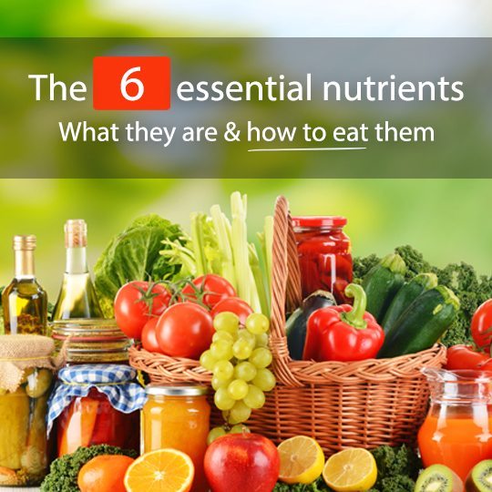 6-essential-nutrients.jpg
