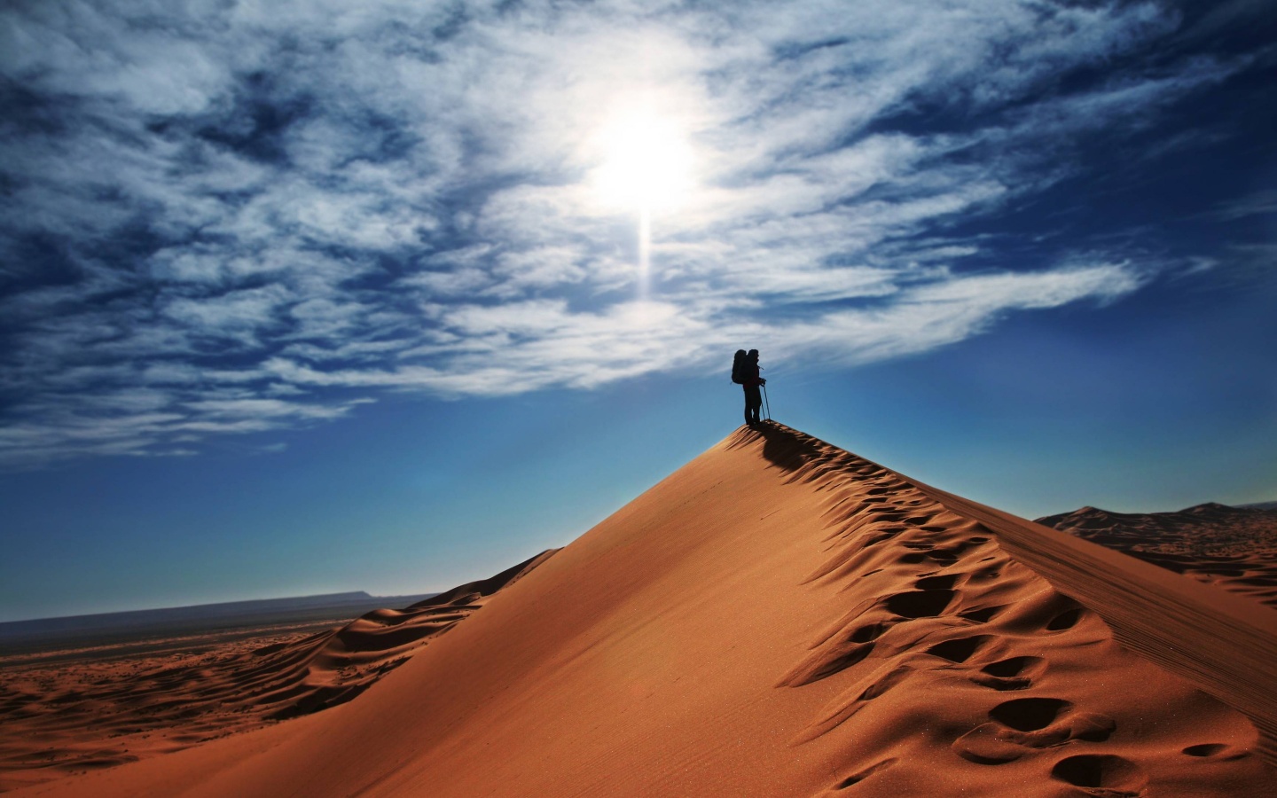 pinsdaddy-desert-walk-wallpaper.jpg