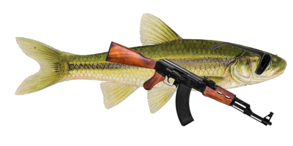 minnow.png