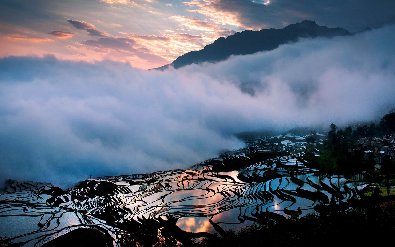 《飞鸟与夏花》每天一首自译飞鸟集（14）- Translate a poem form Stray Birds to Chinese every day