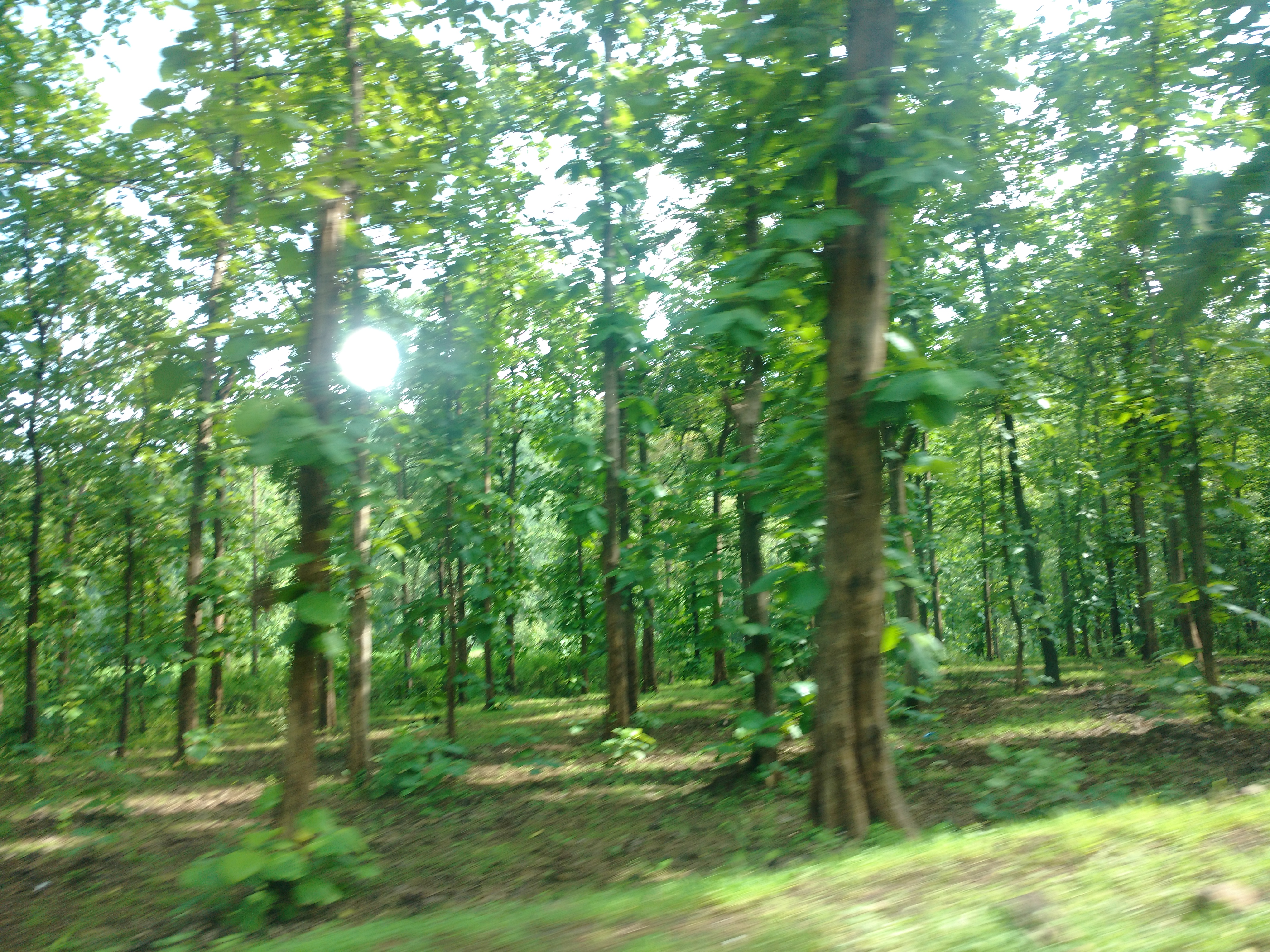 IMG_20170718_155316598.jpg
