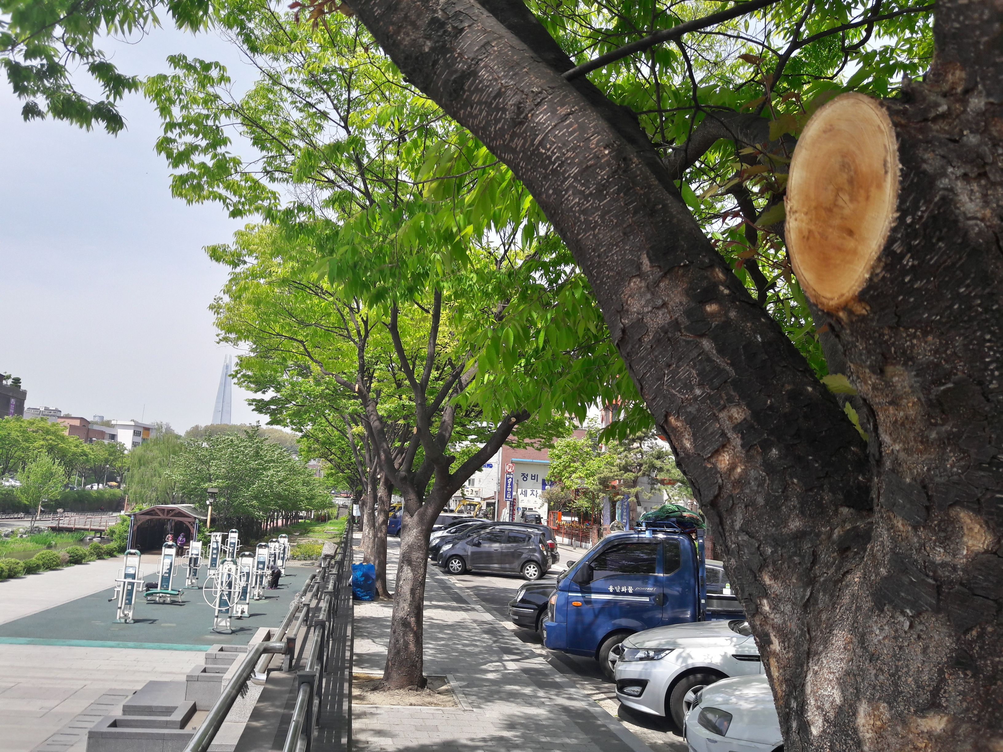20170424_114324_Richtone(HDR).jpg