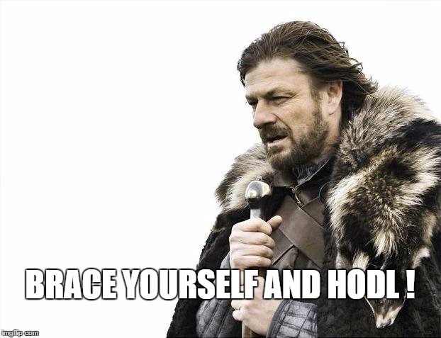 hodl 2.jpg