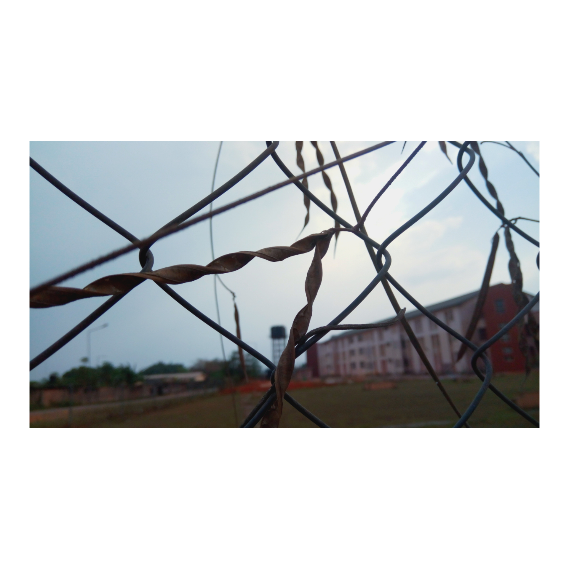 InShot_20180210_163133840.jpg