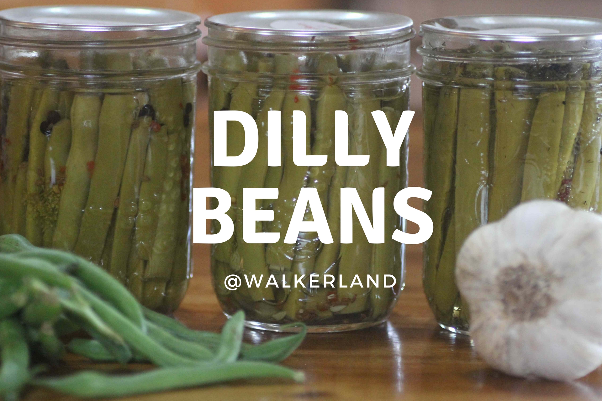 dilly beans.jpg