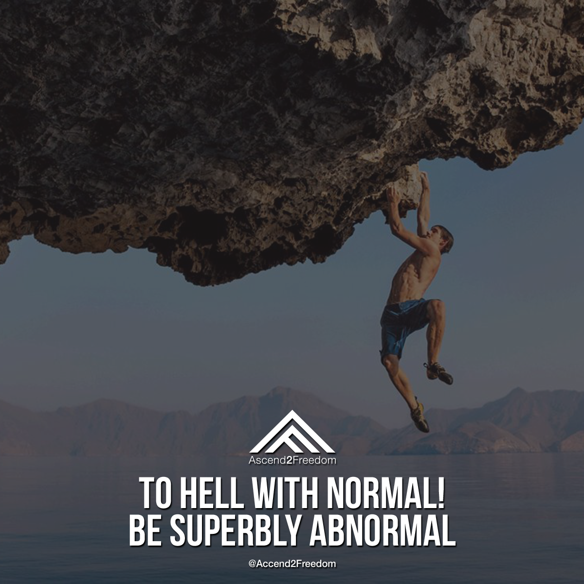 A2F_Quote_E012.png