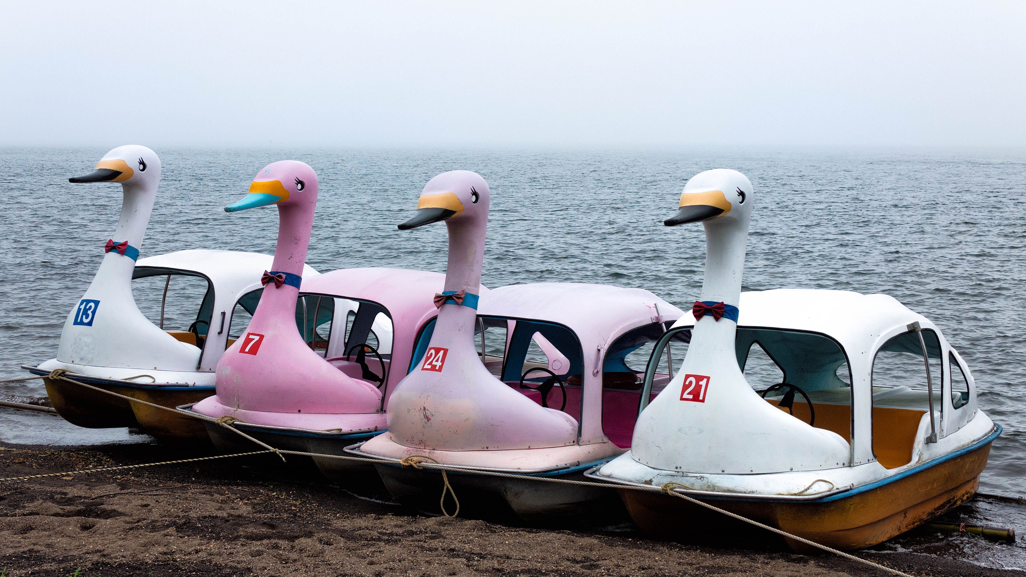 лодка уточка