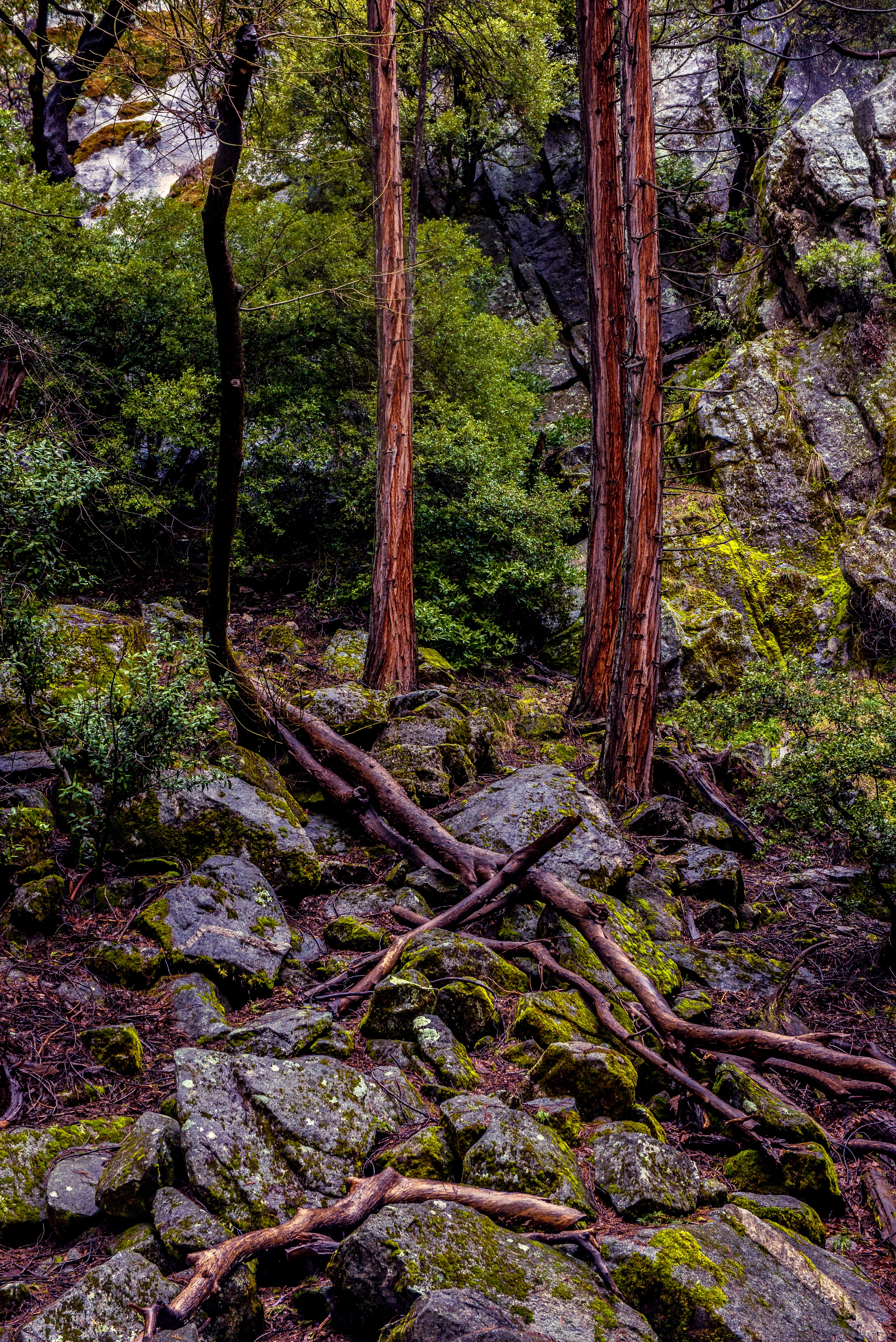 DSC_2323.jpg