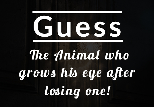 riddle.jpg