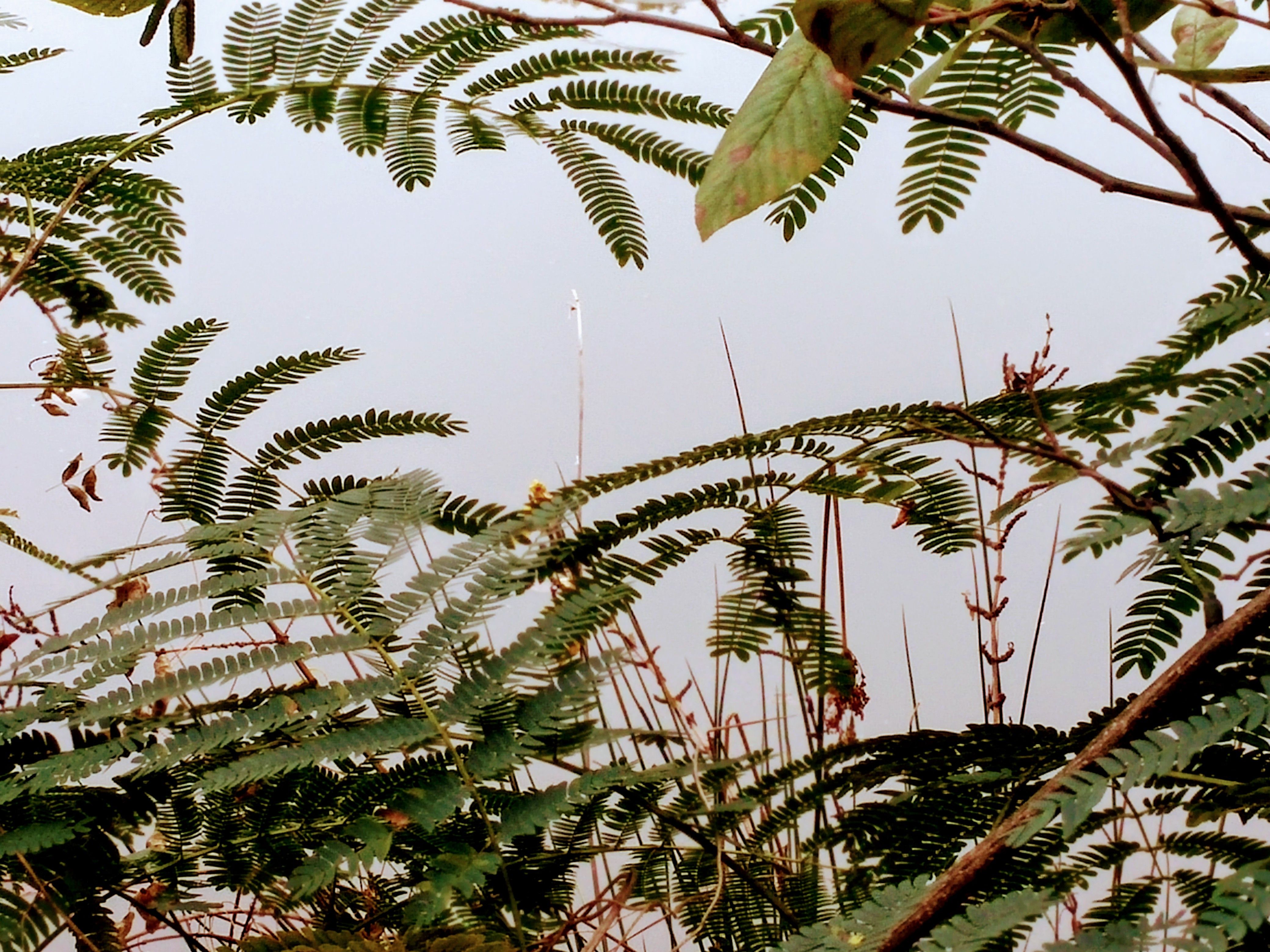 1107171142c_HDR.jpg