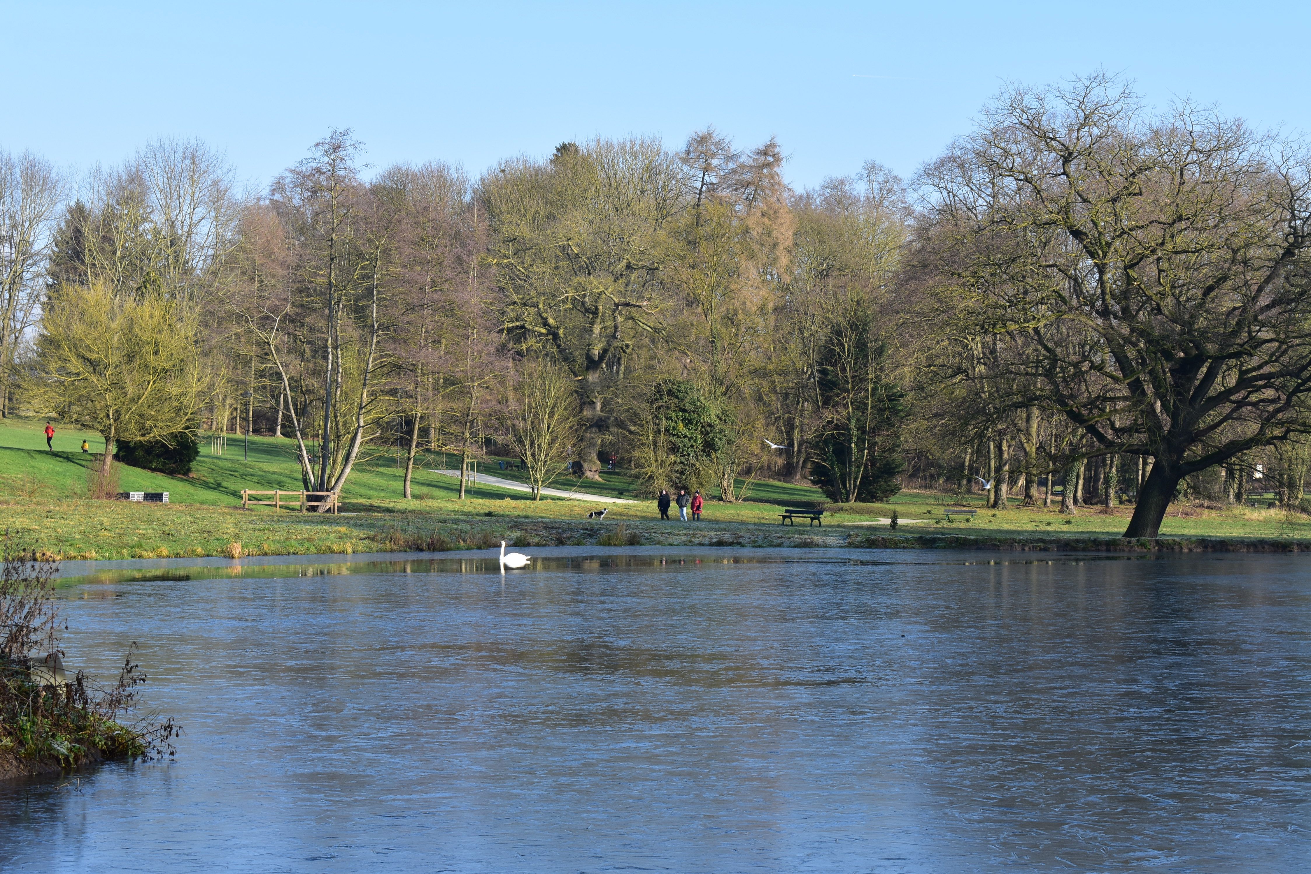DSC_0150.JPG