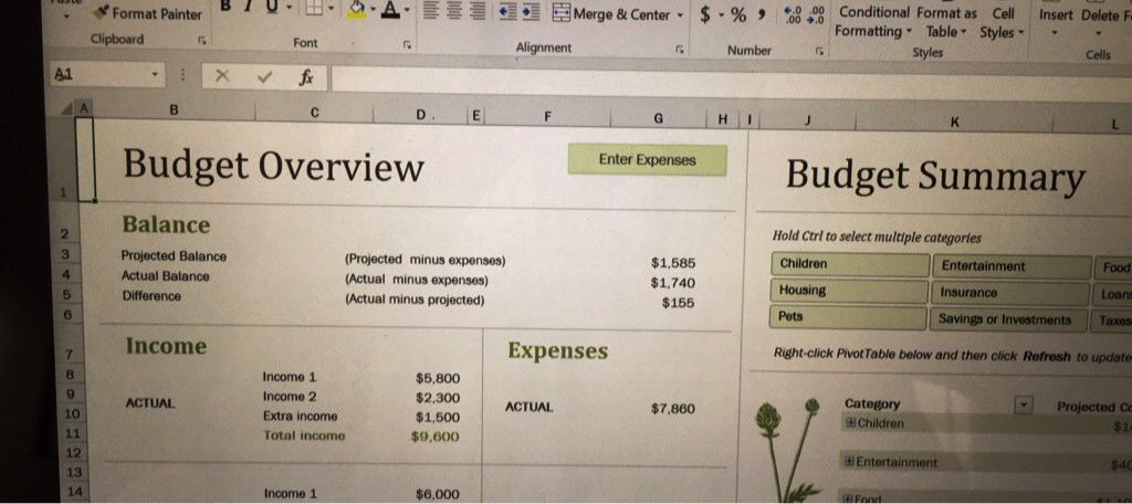 excel_budget.jpg